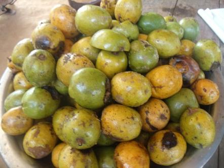 Organic African Mango Fruit