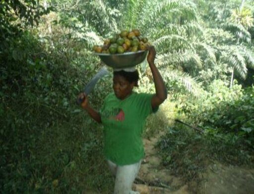 Bessem on her way back home from the Forest, after collecting the Organic Bush Mango Fruit